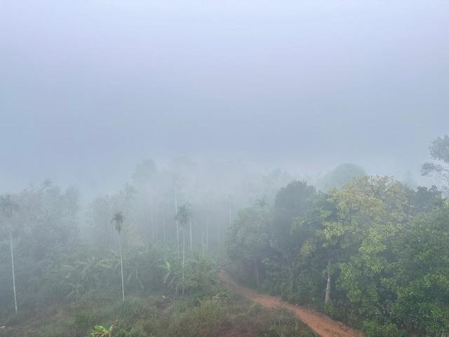 Wayanad Vista Service Apartment Eksteriør billede