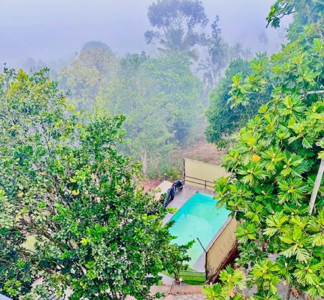 Wayanad Vista Service Apartment Eksteriør billede